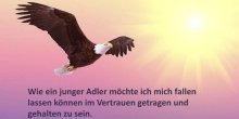 Wie ein Adler